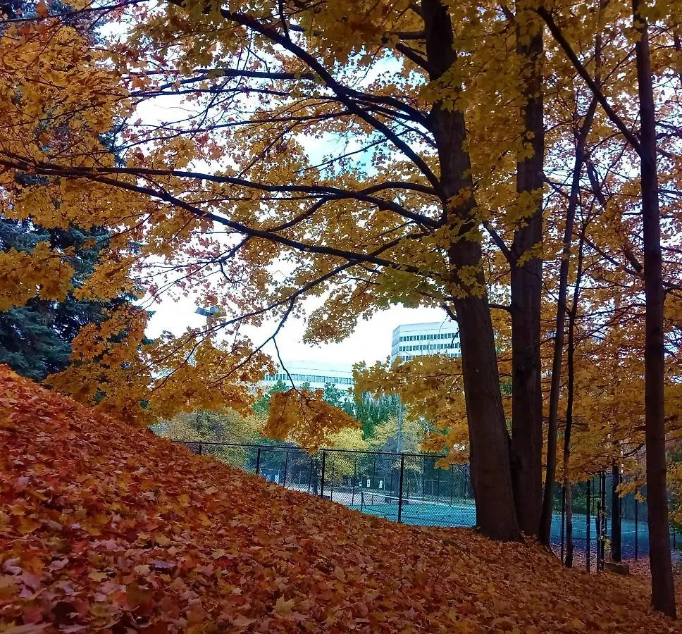 Pan Pacific Toronto Hotel